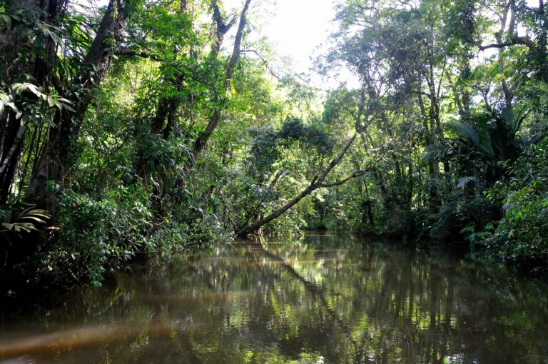 2006-tortuguero-037_30351849053_o
