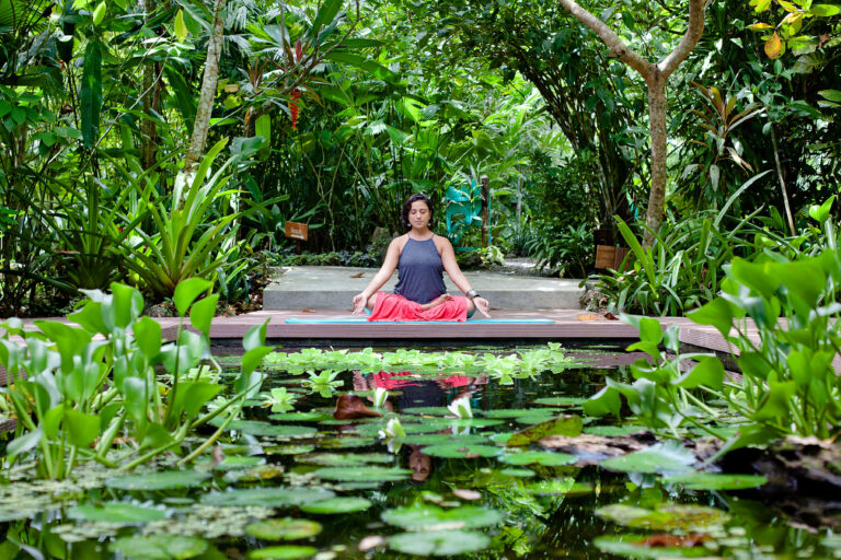 aguas-claras_-highlights_53648311335_o-1-768x512