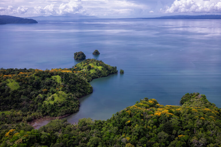 botanika_drone-opt2_6409x4273_53726583004_o