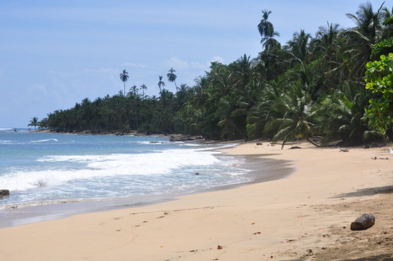 caribe-sur_50216094936_o-768x510