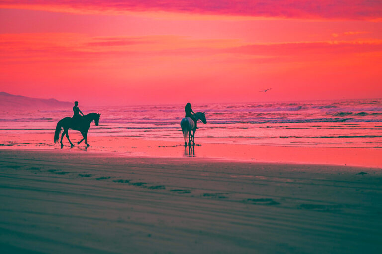 casa-chameleon-mal-pas-activities-3_53646920067_o-768x512