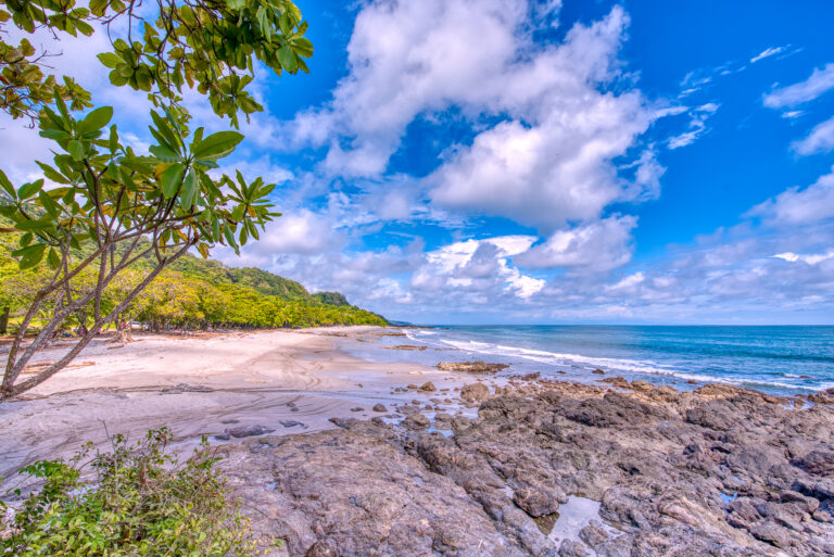 el-sano-banano---exterior_52378197535_o