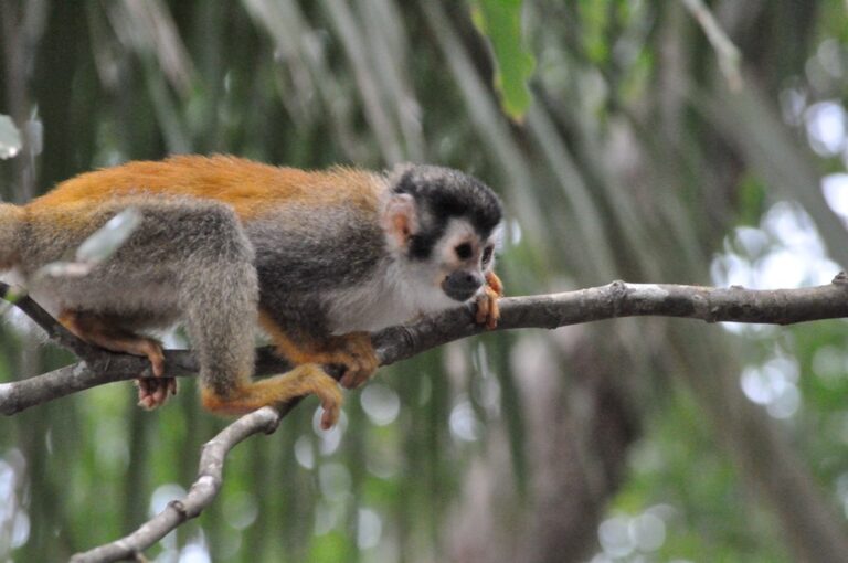 ????????????????????????????????????