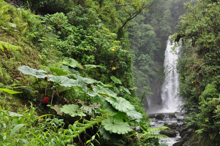 ????????????????????????????????????