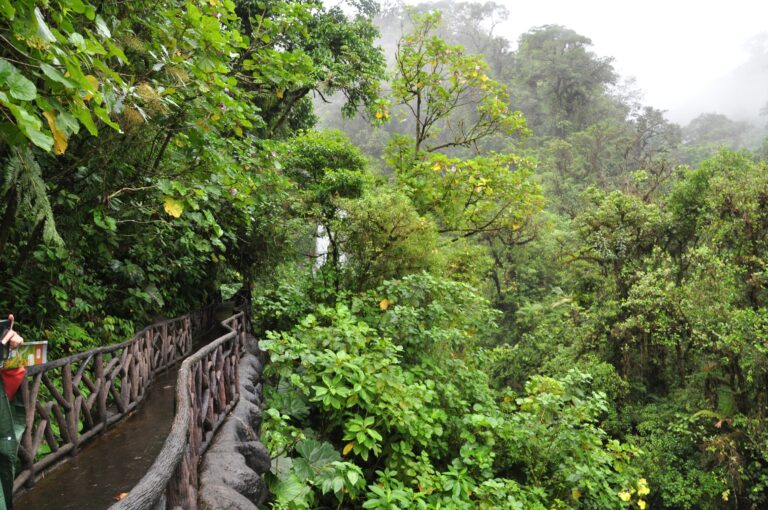 ????????????????????????????????????