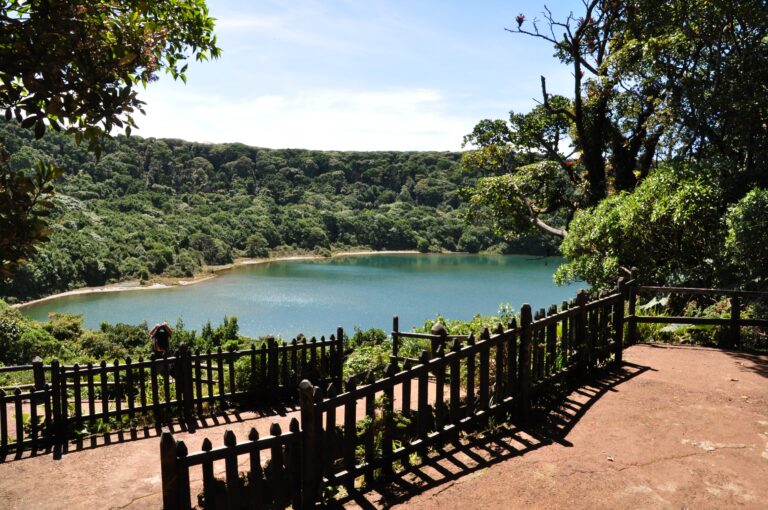 ????????????????????????????????????