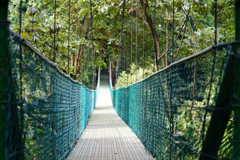 puentes-colgantes_53952616436_o