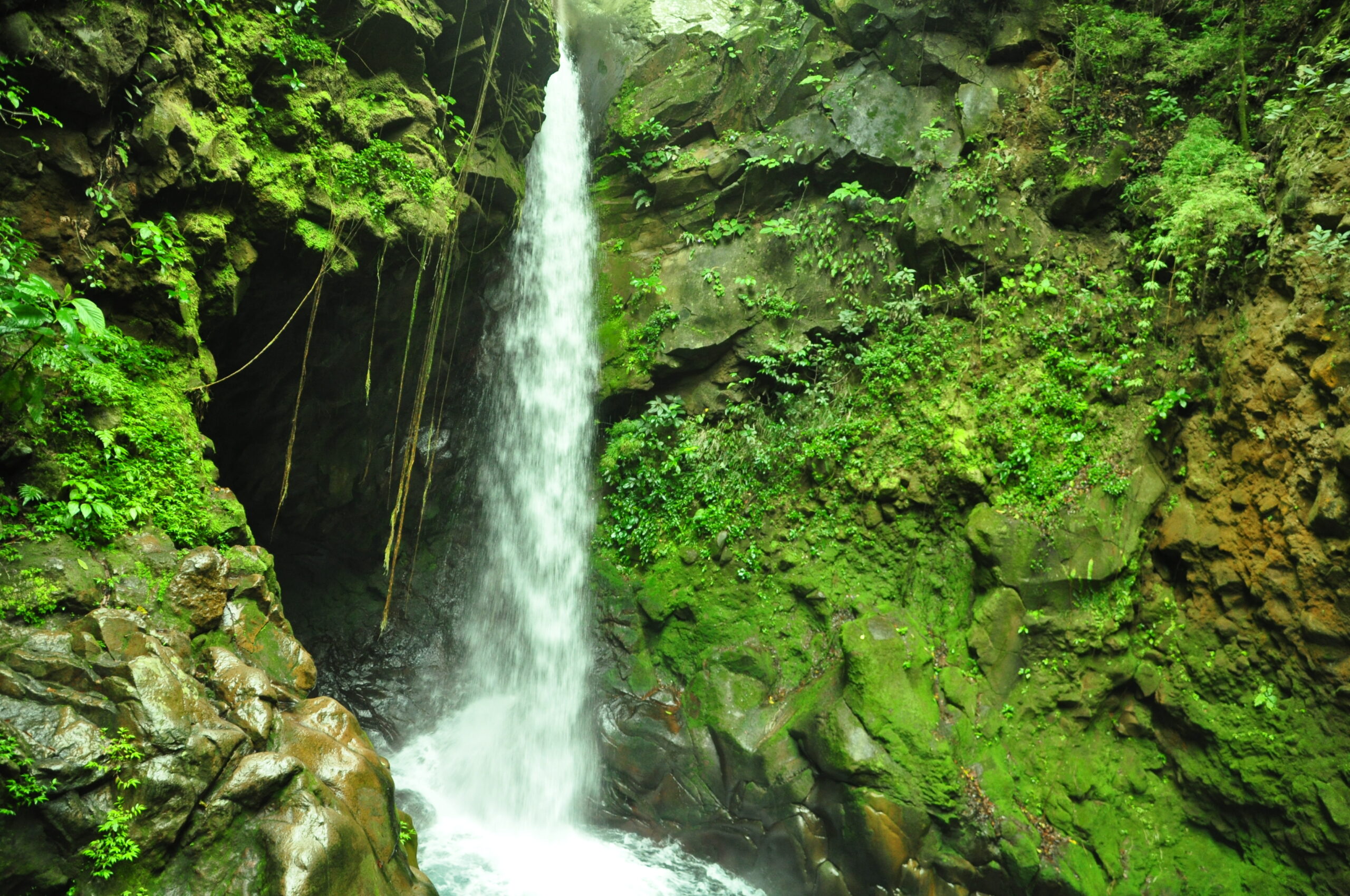 Ruta entre Volcanes y Cultura de Costa Rica 09 Noches / 10 Días