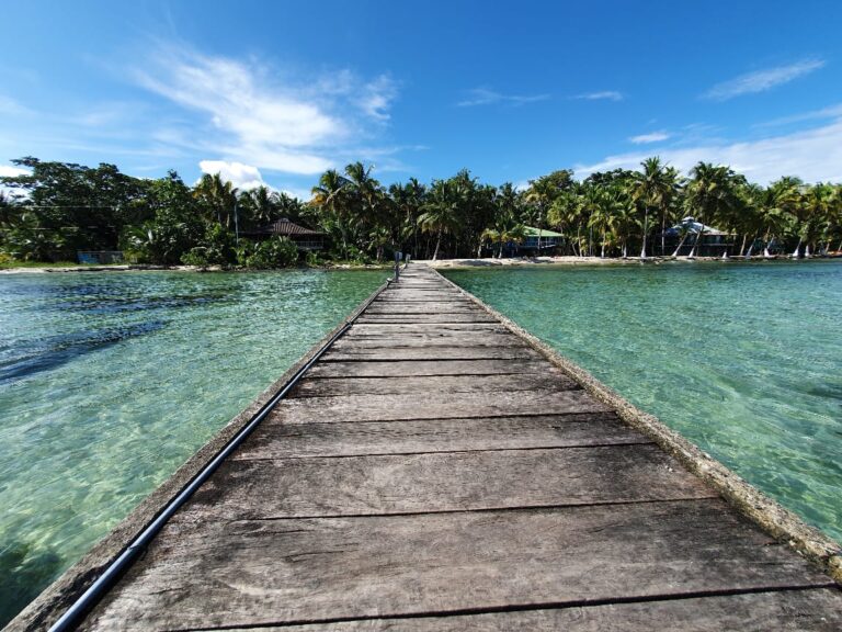 whatsapp-image-2019-11-19-at-40106-pm_49096104758_o