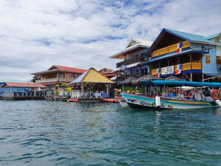 whatsapp-image-2019-11-19-at-40109-pm_49096104668_o